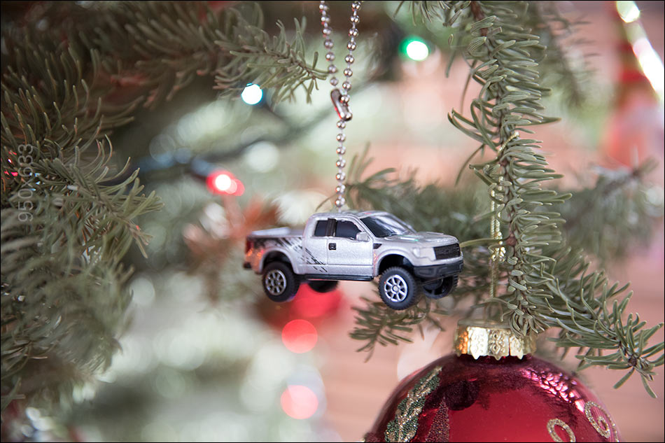 ������������ �����